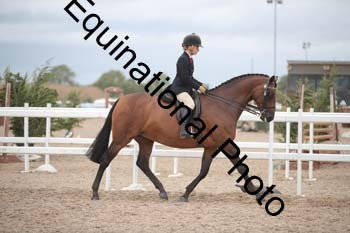 DPS-2165