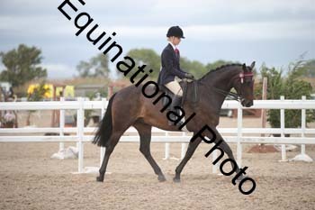 DPS-2168