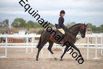 DPS-2180