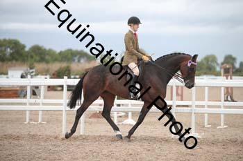 DPS-2183
