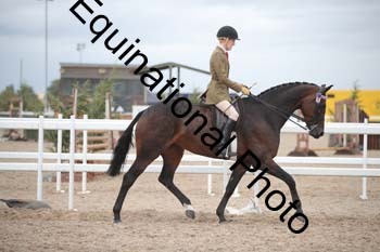 DPS-2185