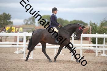 DPS-2186