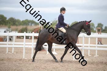 DPS-2187