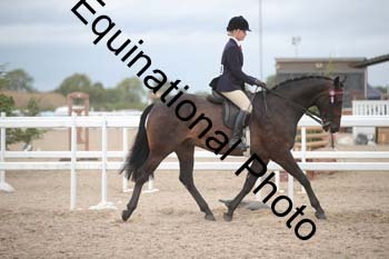 DPS-2190