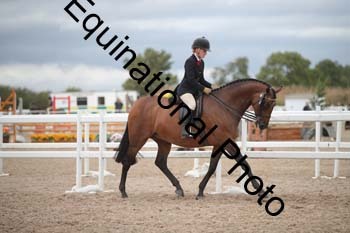 DPS-2191
