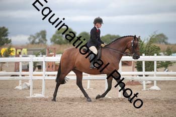 DPS-2192