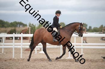 DPS-2193