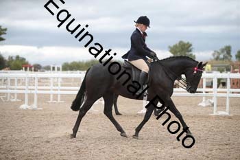 DPS-2194