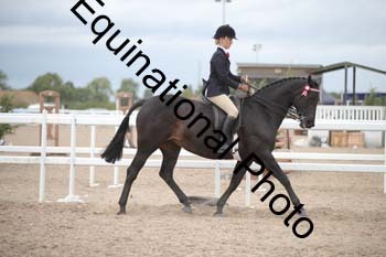 DPS-2195