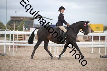 DPS-2196