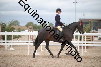 DPS-2201