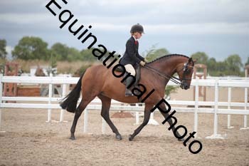 DPS-2206