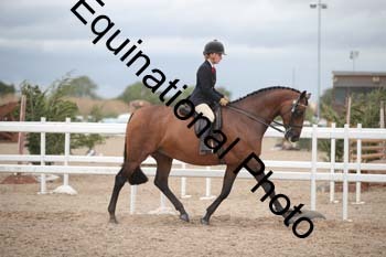 DPS-2207