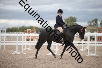 DPS-2208