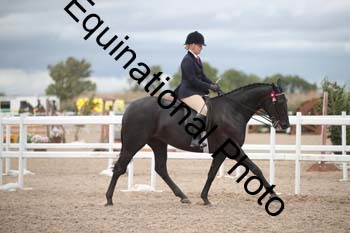 DPS-2209