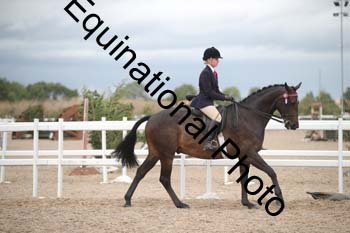 DPS-2215