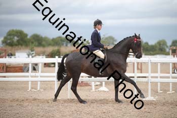 DPS-2216