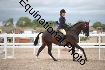 DPS-2219