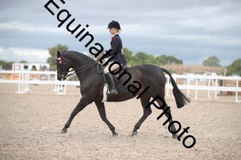 DPS-2223