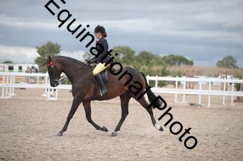 DPS-2225