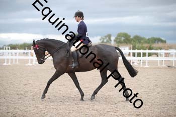 DPS-2228