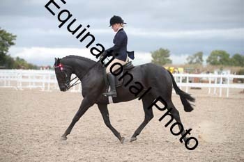 DPS-2232