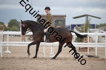 DPS-2234