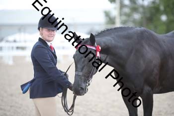 DPS-2238
