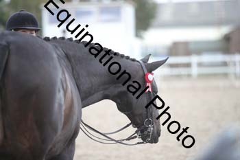 DPS-2239