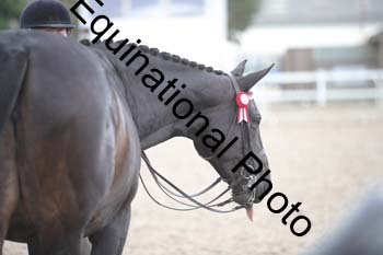 DPS-2240
