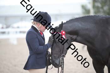 DPS-2241