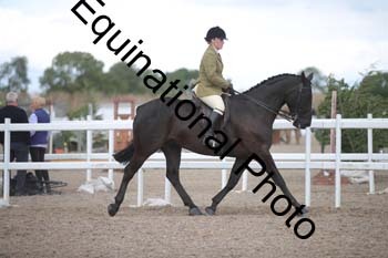 DPS-2363