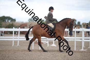 DPS-2369