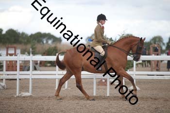 DPS-2377