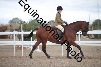 DPS-2380