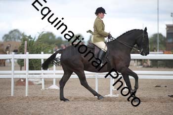 DPS-2382
