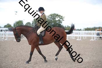 DPS-2383