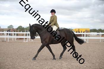 DPS-2385