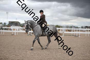 DPS-2388