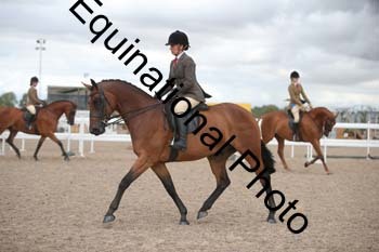 DPS-2393