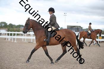 DPS-2394