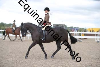 DPS-2395