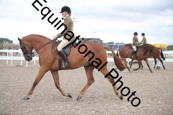 DPS-2397