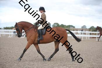 DPS-2399