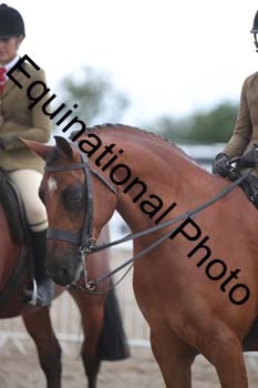 DPS-2417