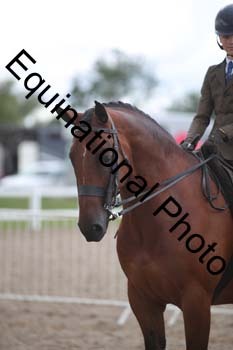 DPS-2428