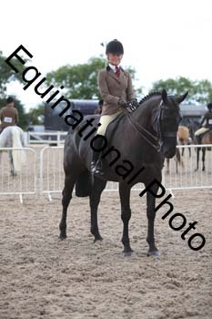 DPS-2431