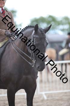 DPS-2434