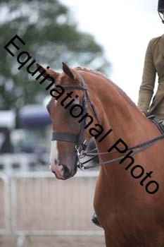 DPS-2443