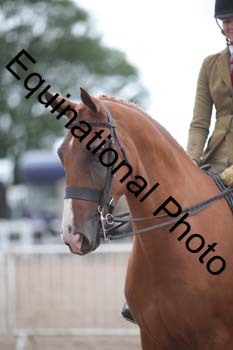 DPS-2444